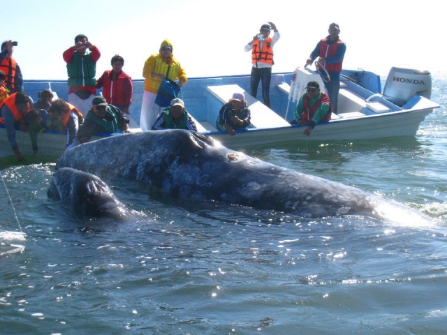 Rapprochez-vous de nous 